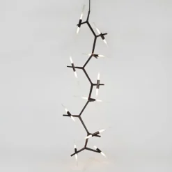 Agnes Cascade - 20 Lights