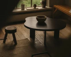 AML Stool