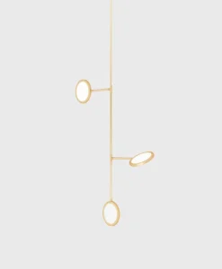 Discus Vine 3