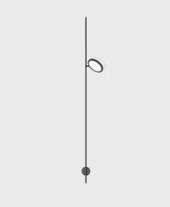 Discus Wall Climber 1