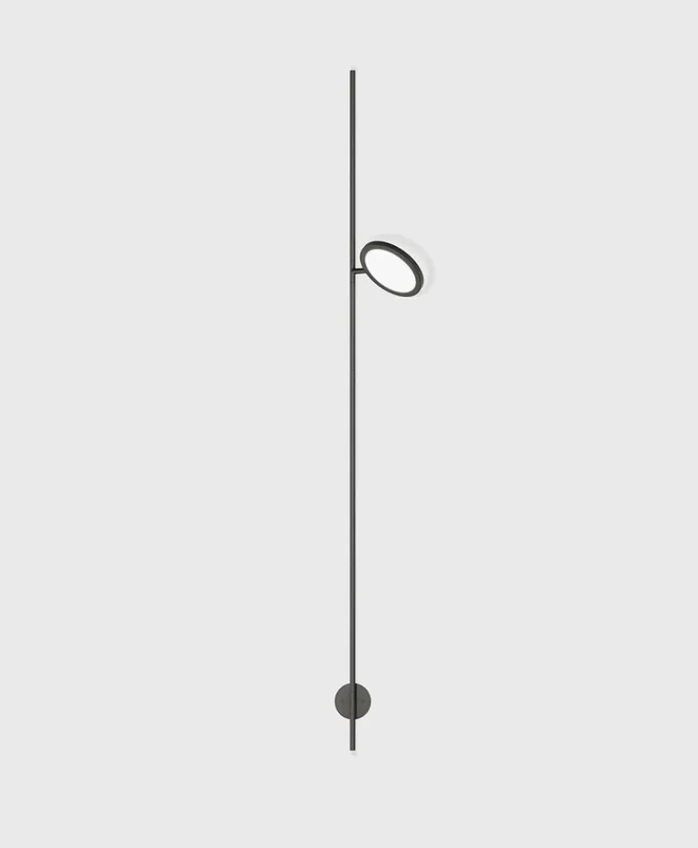 Discus Wall Climber 1