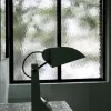 E63 Lamp