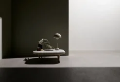 Fly Table SC4