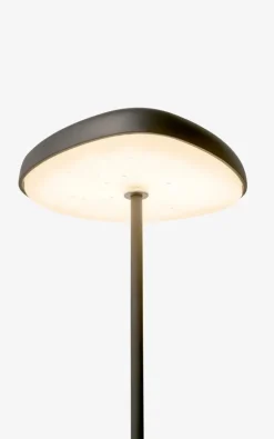 Fungi #1 Table Lamp