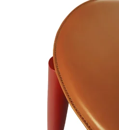 Gaulinetta