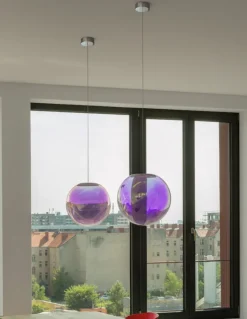 Iris Globe