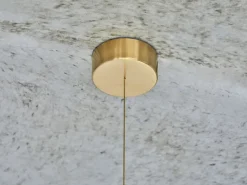 Iris Globe