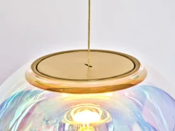 Iris Globe