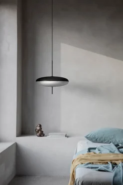 Model 2065