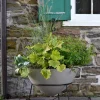 Oca Planter 1