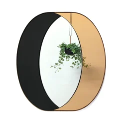 Ring Mirror