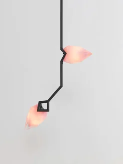 Seed Pendant