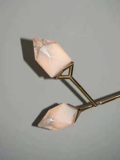 Seed Pendant