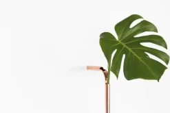 Solo Vase