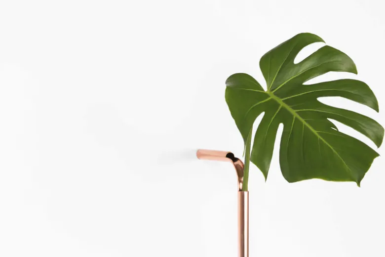 Solo Vase