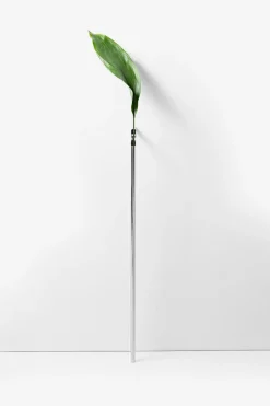Solo Vase