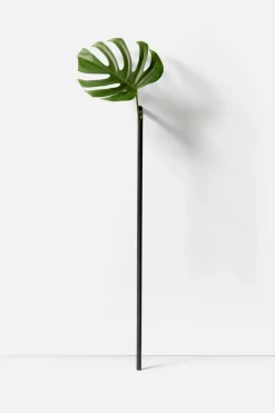 Solo Vase