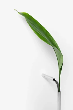 Solo Vase