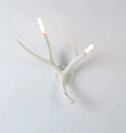 Superordinate Antler Sconce