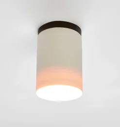Surface Ceiling Mount