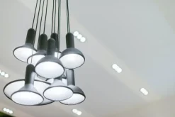 Torch Light - Bunch