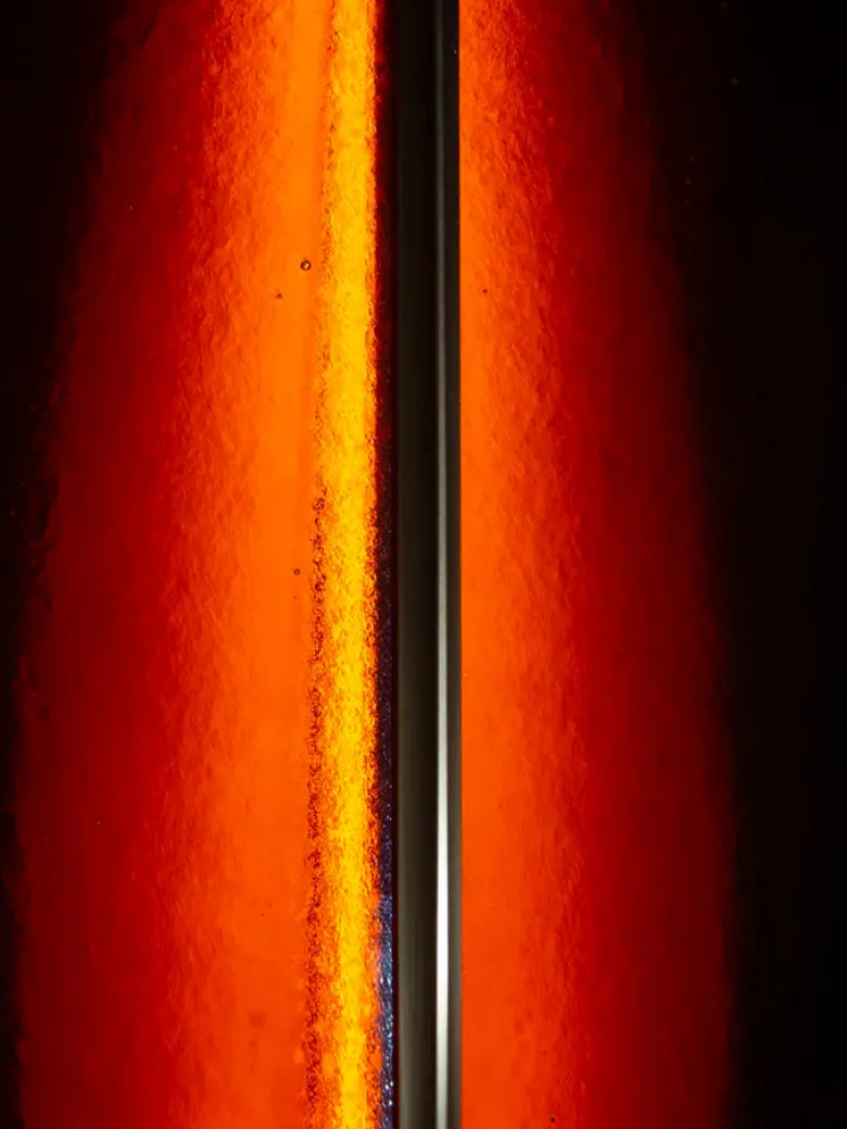 Unfurl Sconce